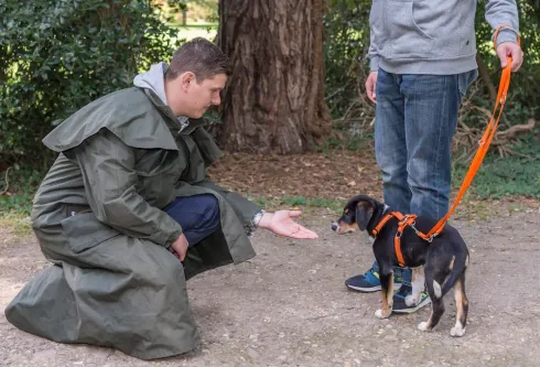 Alltagstraining für ängstliche Hunde @ Martin Rütter Hundeschule Wiesbaden / Main-Taunus-Kreis