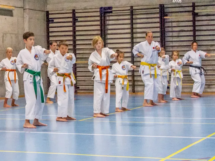 Karate Basics @ Seikukan Karate Do Zürich