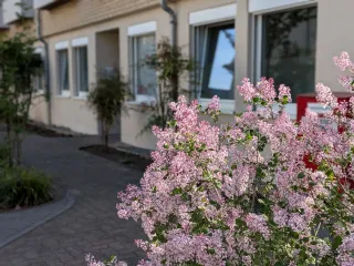 Dieser Anbieter hat keine Bildbeschreibung für dieses Bild hinterlegt