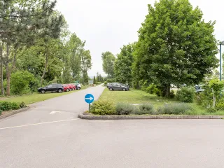 Dieser Anbieter hat keine Bildbeschreibung für dieses Bild hinterlegt