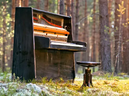 Wald-Yoga & Piano LIVE @ MIRKAS YOGAHÄUSCHEN