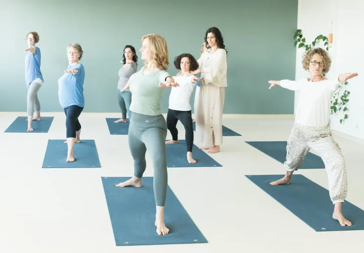 Traditionell indisches Yoga in Englisch @ Atma Yoga