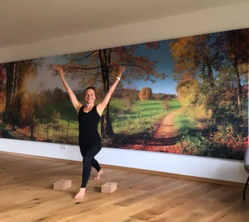 ONLINE Vinyasa Yoga aus dem LIPP Stadl (Abo) @ Brigitte Gnann