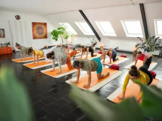 Dieser Anbieter hat keine Bildbeschreibung für dieses Bild hinterlegt