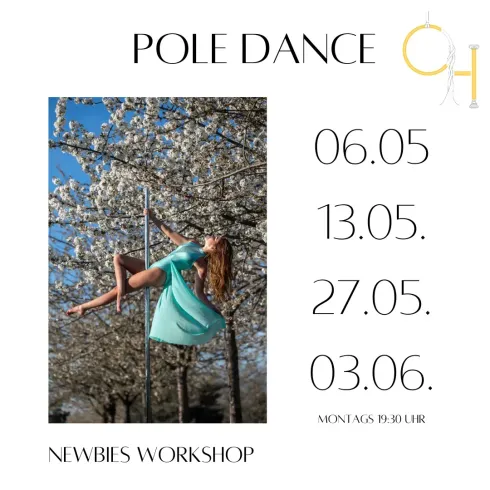 Pole Dance Newbies - 4 Wochen Kurs @ Cheesy Heaven