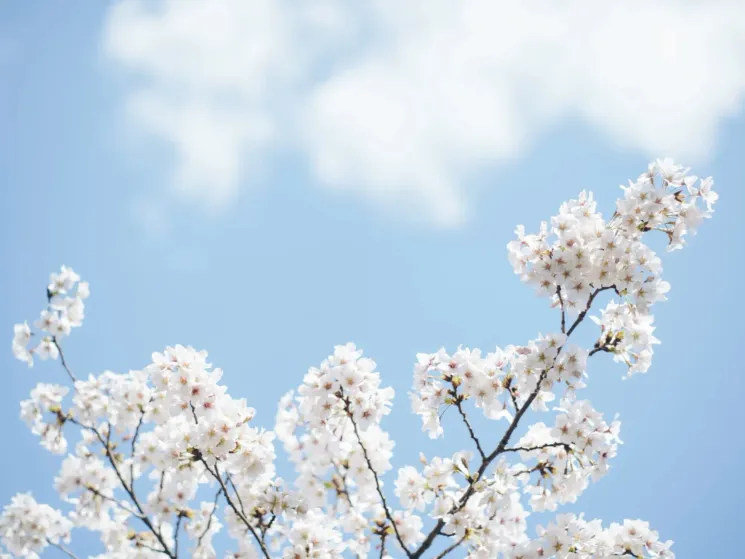 Summer Special | Somatic Yin Yoga @ EKA* YOGA | YOGASTUDIO