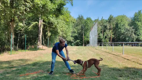 De locatie heeft geen afbeeldingsbeschrijving voor deze afbeelding opgegeven