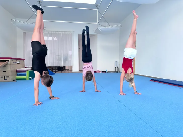 Handstand Workshop @ Schielin Sports