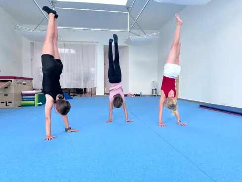 Handstand Workshop @ Schielin Sports