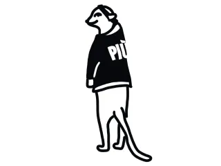 PIÙ PILATES