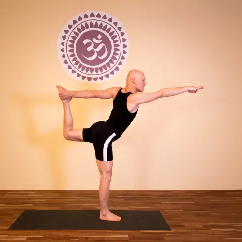 ALIGNMENT Strategien für VINYASA FLOW (online) @ YogaCircle Berlin Akademie