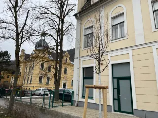 Dieser Anbieter hat keine Bildbeschreibung für dieses Bild hinterlegt
