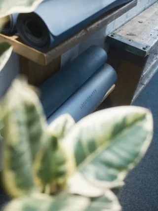 Dieser Anbieter hat keine Bildbeschreibung für dieses Bild hinterlegt