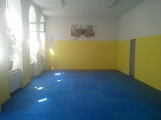 Shaolin Kung Fu Wien