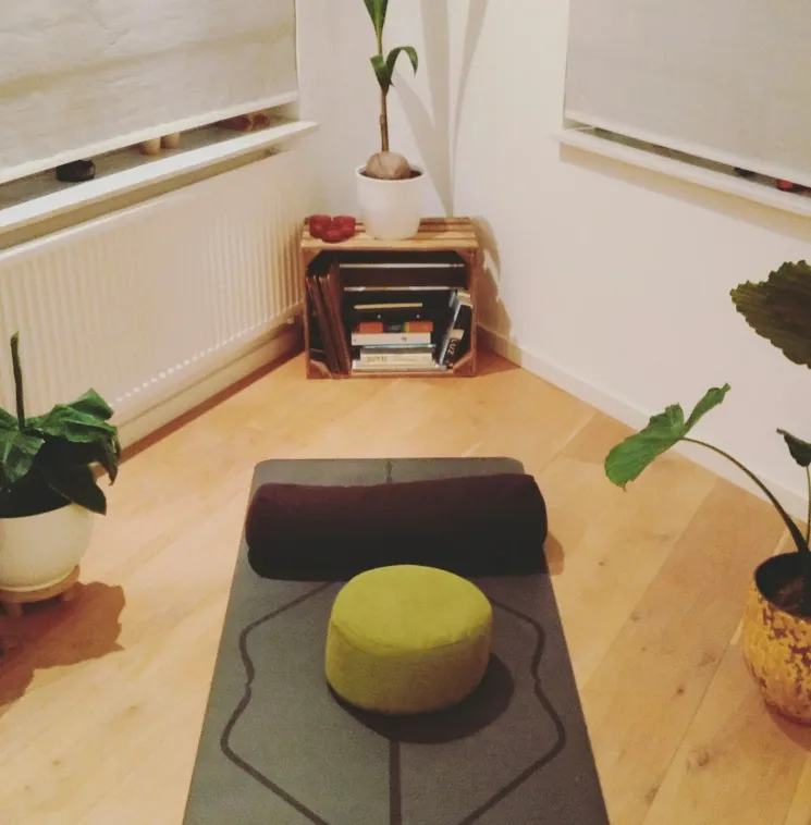 Home Yoga Retreat - lente editie @ YogaZenter