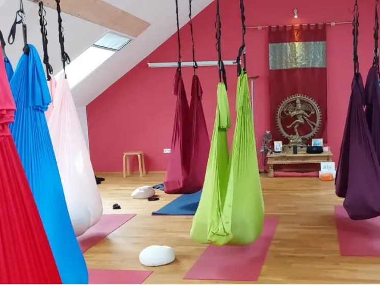 Masterclass DANA® AERIAL YOGA Flow - Mo 02.11.26 @ Yoga is You