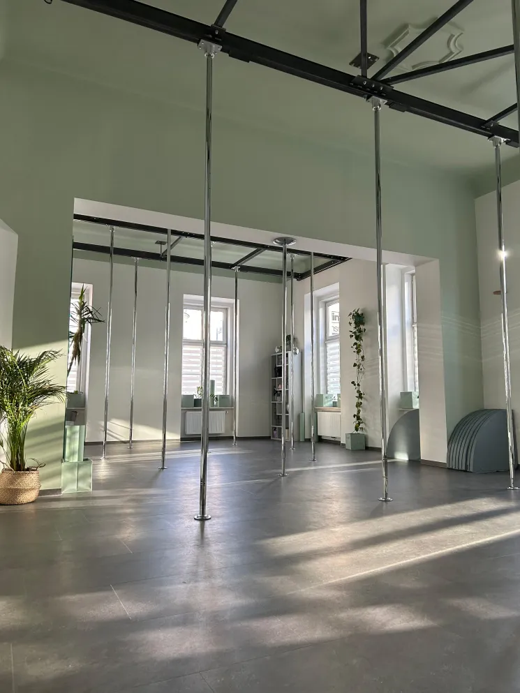 Level 5, Spinning 4.0, Pole Dance Kurs @ The Pole Jungle