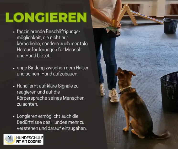 Longierkurs 2 @ Hundeschule Fit mit Cooper