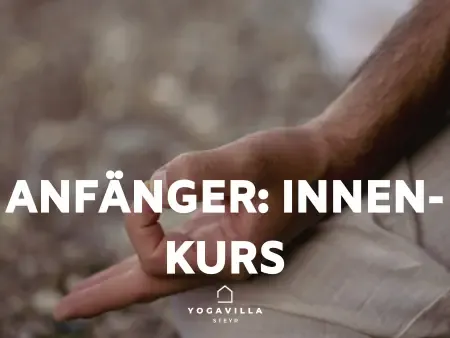 Kurs für Anfänger: innen - geschlossener Kurs mit Alessandro *8EH* @ Yoga Villa Steyr