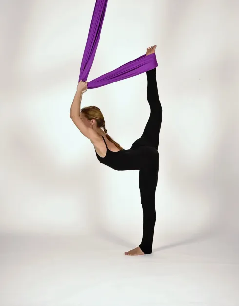  Ausbildung Aerial Yoga Level 2: Fit and Dance @ Yogafusion