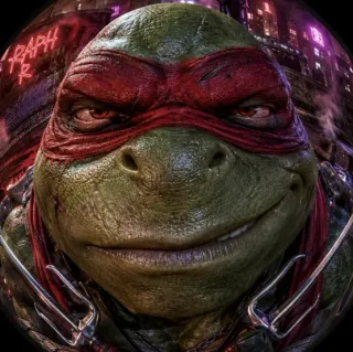 Turtle